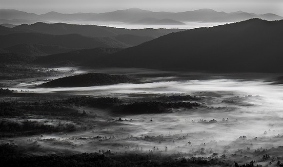 Ebb and Flow of Fog