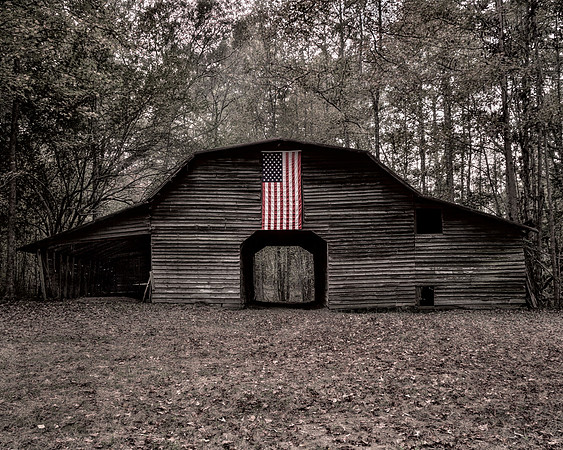 Standing the Test of Time - Americana Landscapes. Flag-Pop