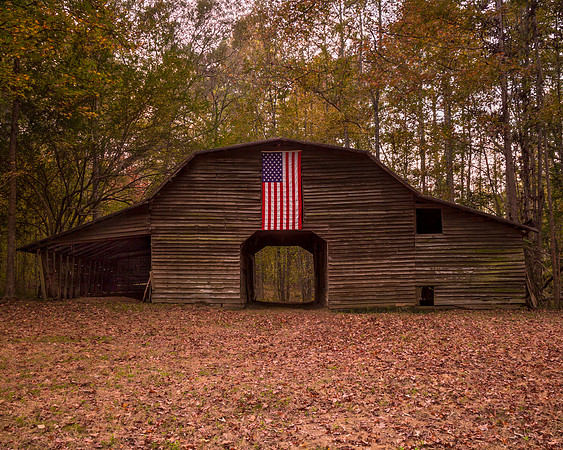 Standing the Test of Time - Americana Landscapes