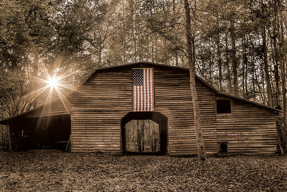 "Sunstars and Stripes on Rustic on Barn" - Sepia