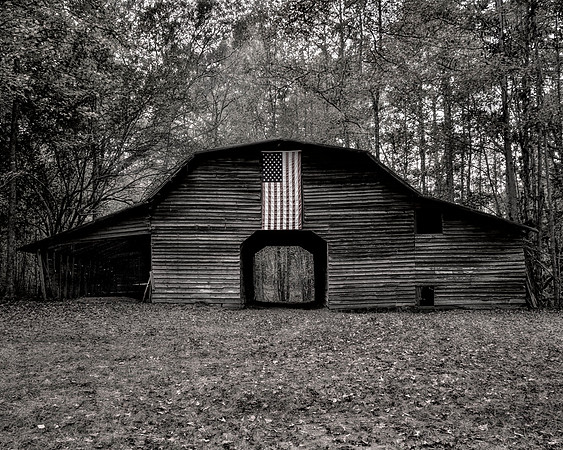 Standing the Test of Time - Americana Landscapes. B&W