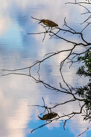 Double Vision