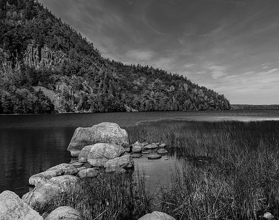 Stepping Stones - Juried Exhibit Finalist