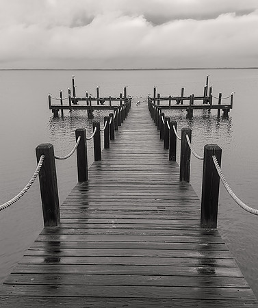 Duck Dock Monochrome