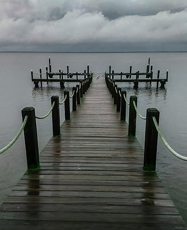 Duck Dock Storm Monochrome