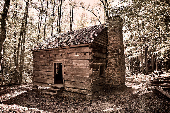 Pioneer Cabin in the Woods