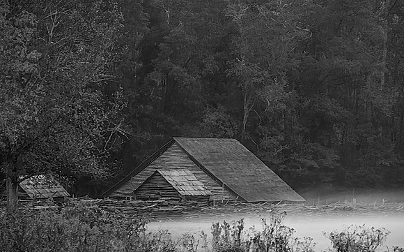 Foggy Farm Morning