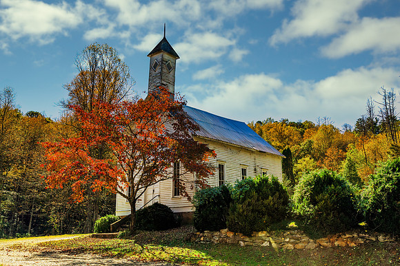 Autumn Dogwood Sacred Spirit