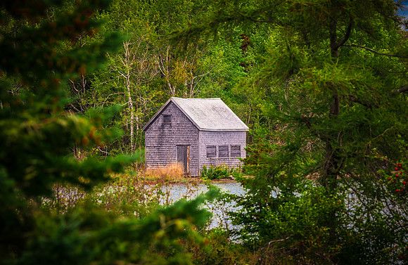 Back Country Maine Fish Camp
