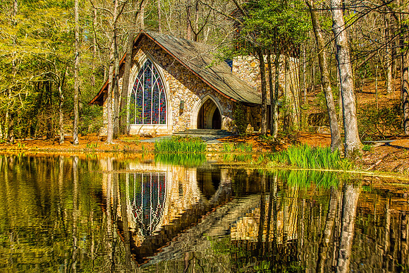 Spring Rebirth Reflections