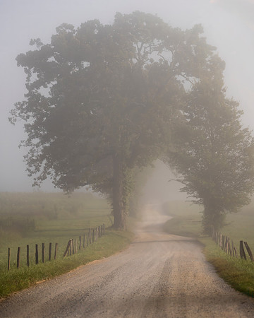 Foggy Morning on Hyatt Lane in Cades Cove