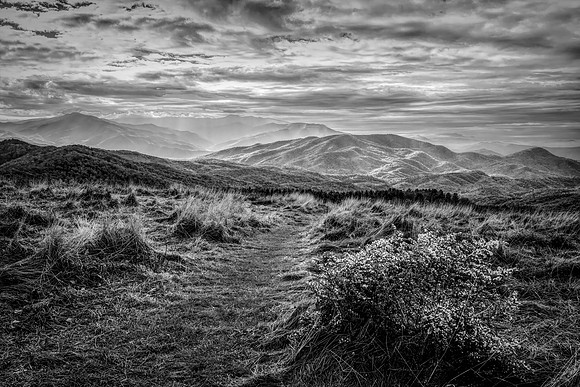 Appalachian Trail Grand Vista