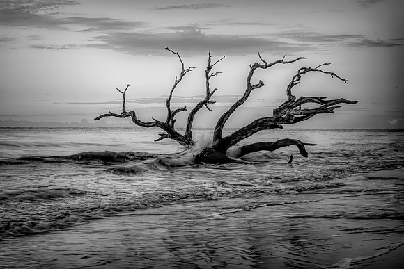 Standing the Tests of Time & Sea - Juried Exhibit Finalist