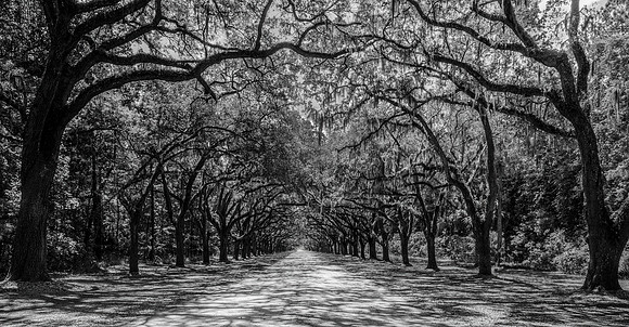 Oak Soldier Archway - Juried Exhibit Finalist