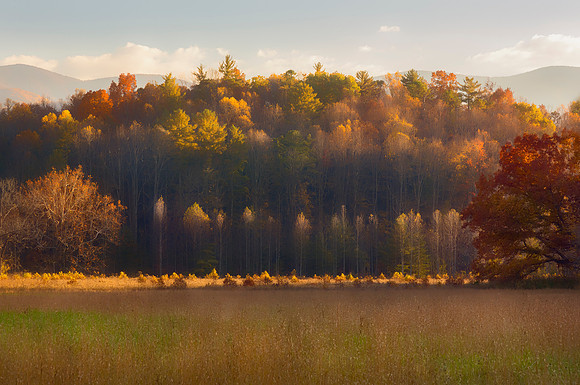 Sun kissed Autumn